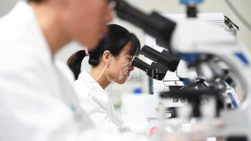 CRO优化服务合同范本：构建医药研发合作新标杆