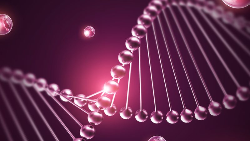 纺织酶制剂代理价格：揭秘影响价格的关键因素