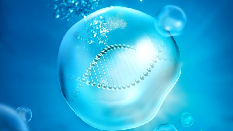 揭秘生物制药细胞工厂纯化步骤：关键环节与注意事项