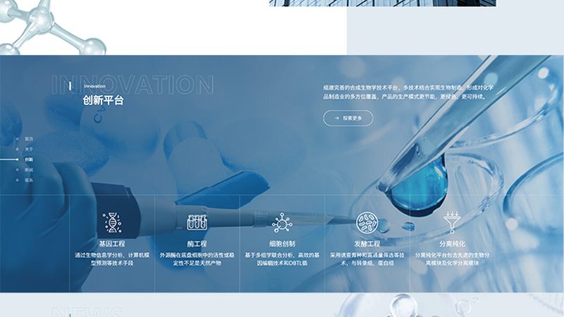 CDMO与CRO：揭秘药物研发背后的两大合作伙伴