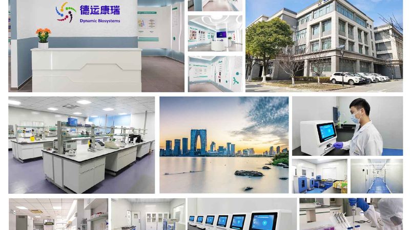 小分子CDMO绿色化学工艺：揭秘高效环保的药物合成之道**