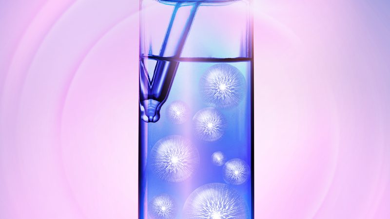引物合成：揭秘PCR实验中的关键步骤