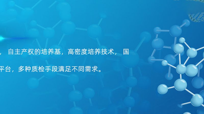 CDMO项目成本评估：如何精准把控研发投入