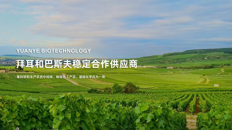 CDMO工艺流程：揭秘其成本构成与影响因素