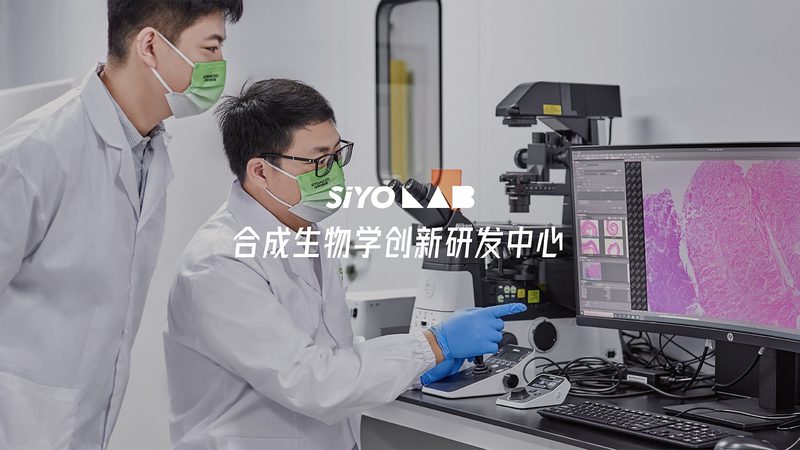CRo优化培训教材：提升生物制药研发效率的关键