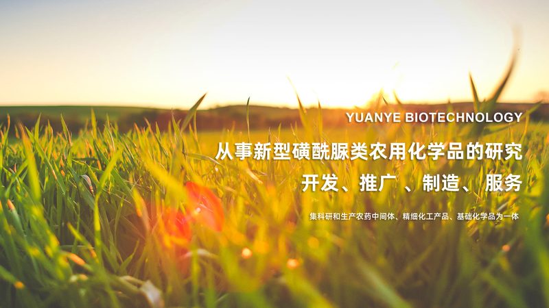 大容量离心管材质选择：如何兼顾性能与成本**