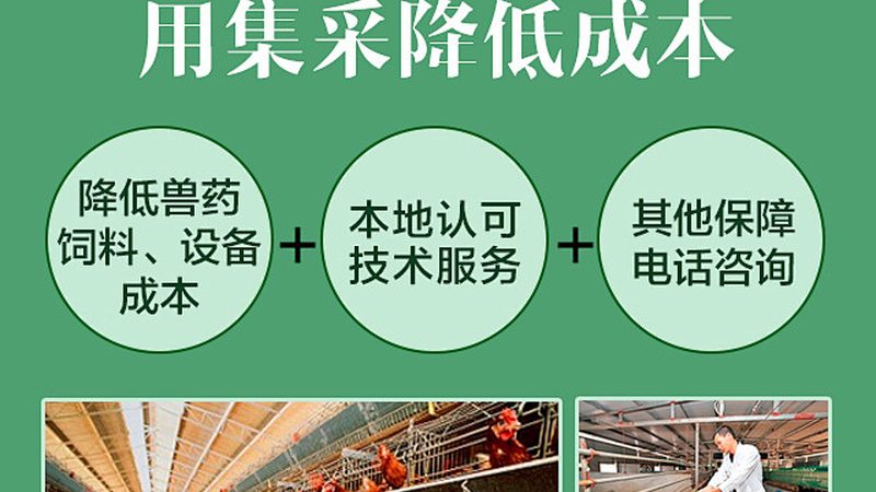 广州细胞培养基规格参数解析：如何选择合适的培养基？**