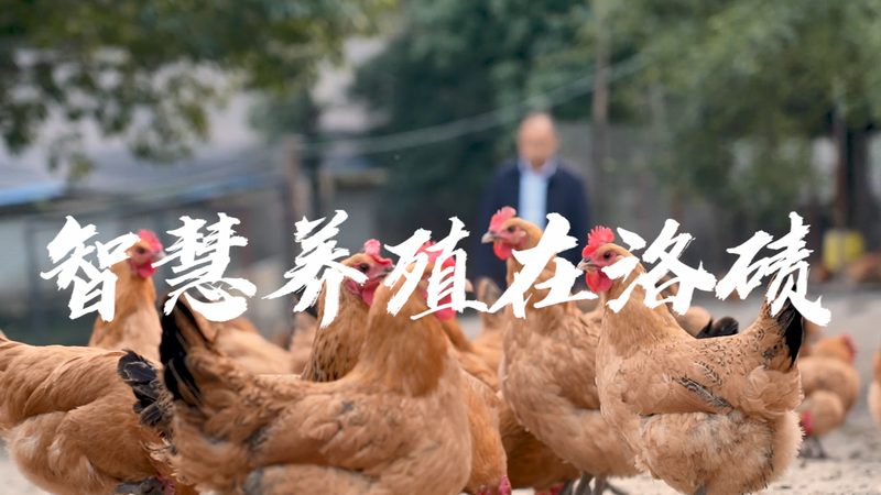 肿瘤基因检测套餐：揭秘其背后的技术奥秘**