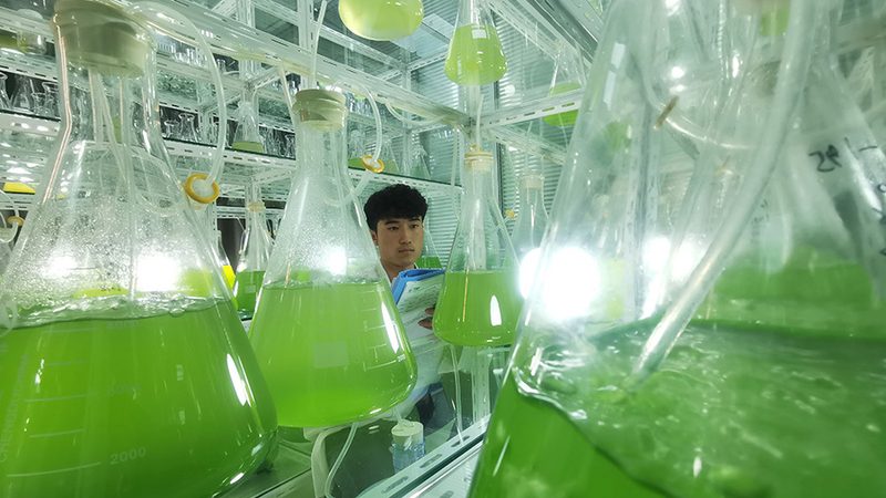 PCR酶选择，你真的了解吗？**